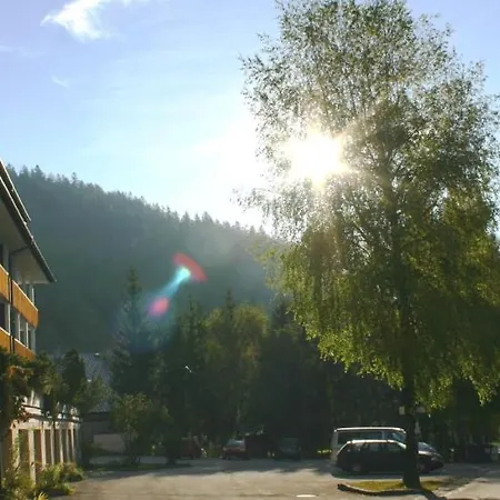 Apartamento Waldblume Bad Mitterndorf